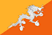 Bhutan Flag