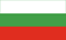 Bulgarian Flag