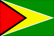 Guyanese Flag