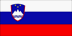 Slovenian Flag
