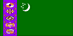 Turkmen Flag